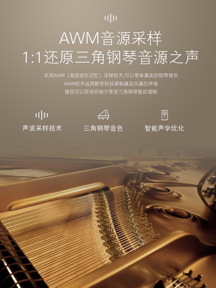 Grand Piano 88-toetsen gewogen - Smart Home Uses recensie en prijs