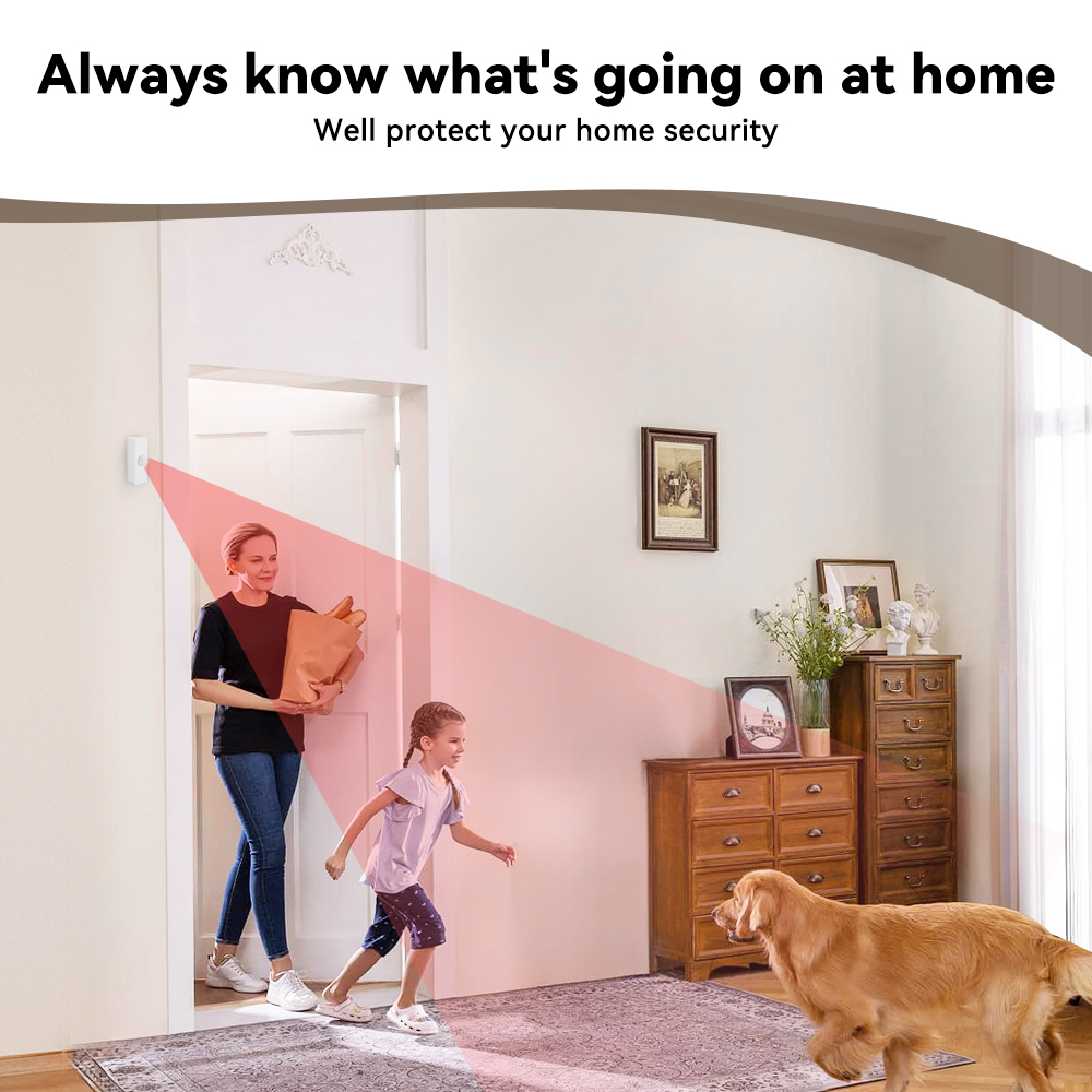 Tuya Smart PIR-bewegingssensor - Smart Home Project recensie en prijs