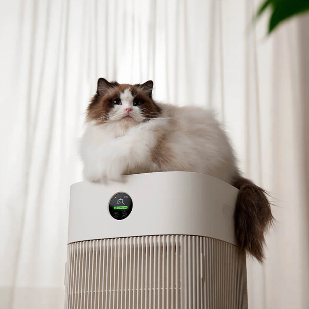 Kattenhaar absorbeert snel hon - Smart Air Purifier recensie en prijs